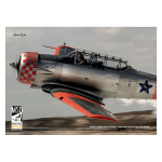 Texan T6 Posteri
