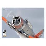 Texan T6 Posteri