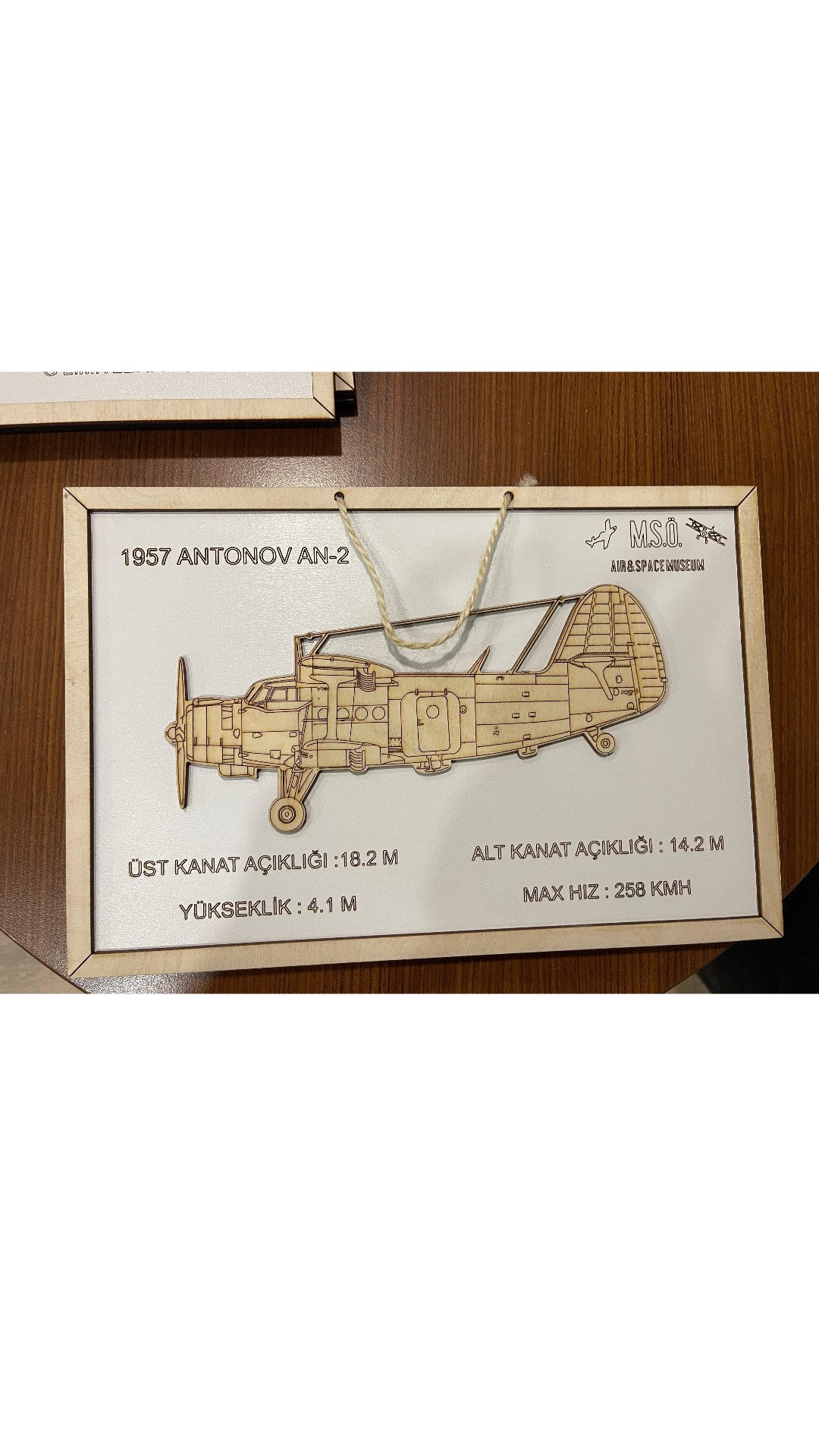 LAZER GRAVÜR TABLO- ANTONOV- AN2